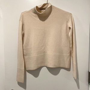 Everlane Cashmere Turtleneck Sweater